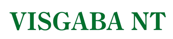 Visgaba NT